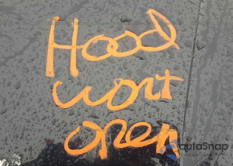 2001 Ford Ranger Xlt/Xlt Off-Rd/Xlt Off-Rd W/391A/Xlt Off-Rd W/394A/Edge/Edge Plus/W/392A/W/393A из США, поврежденный, VIN 1FTZR15E41PB65503